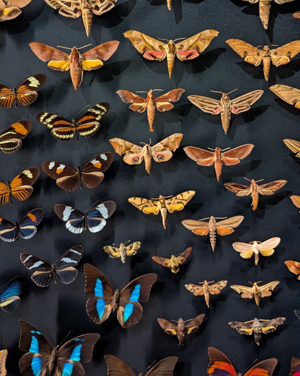 visiter lyon avec des enfants