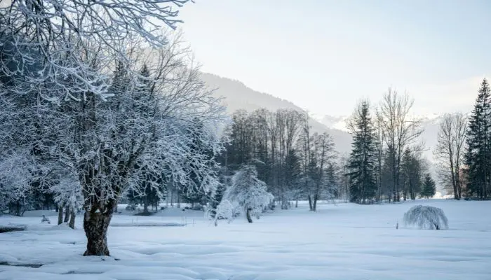 station de ski familiale dans les Alpes