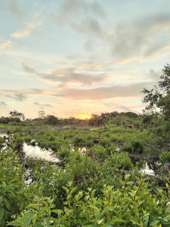Rebondir après une expatriation ratée Vivre au Bélize Vivre au Mexique
