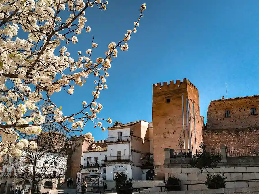 Espagne hors des sentiers battus - cacerés