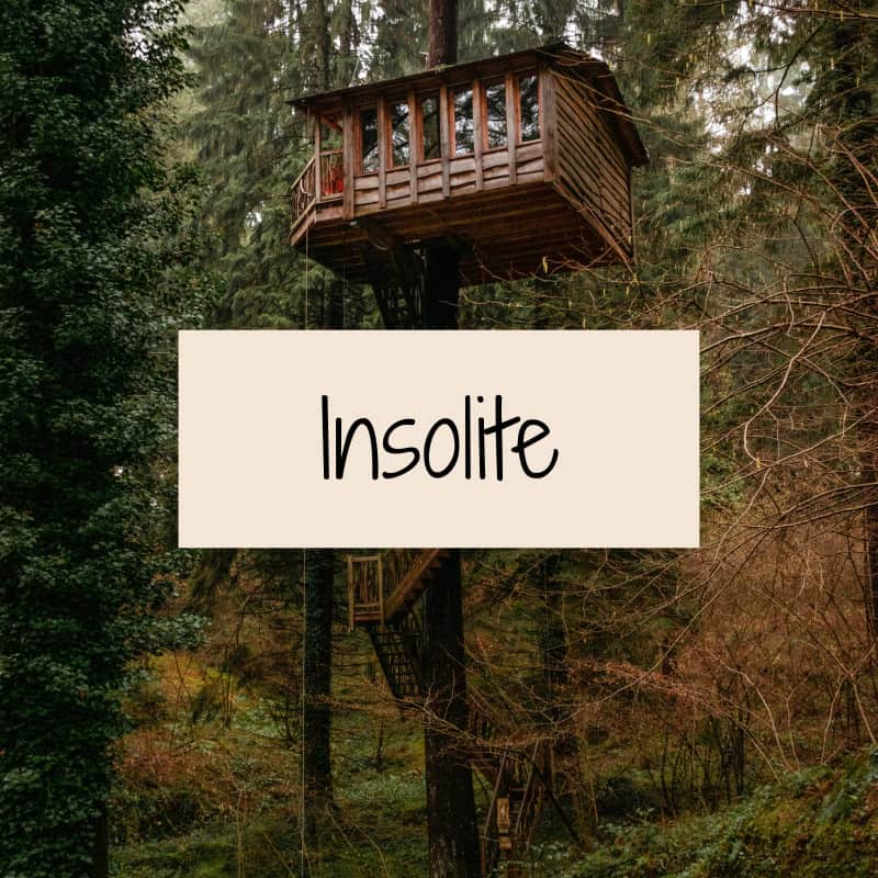 réservez votre voyage en famille