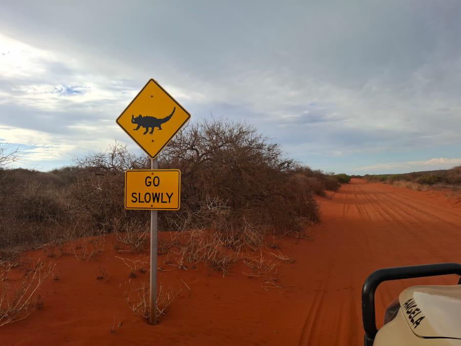 Un ado en tour du monde