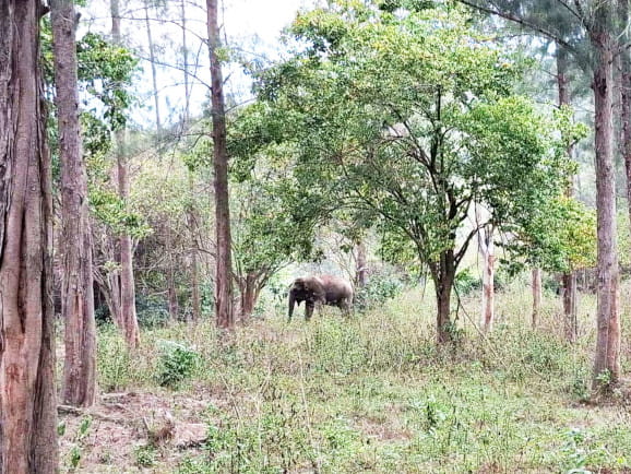 Un ado en tour du monde