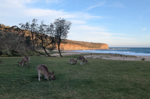 conseils pour préparer un long voyage