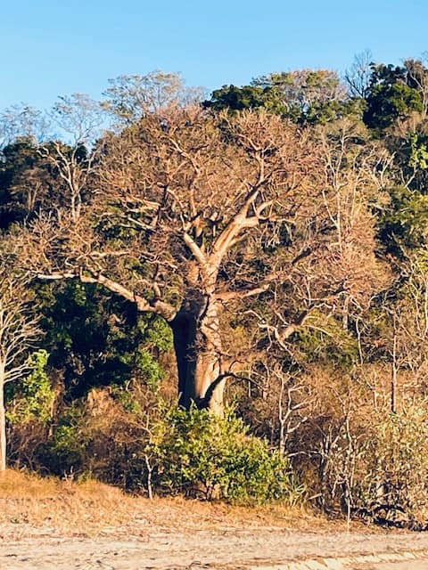 grandir entre deux cultures, Madagascar