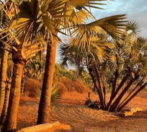 grandir entre deux cultures, Madagascar