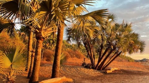 grandir entre deux cultures, Madagascar