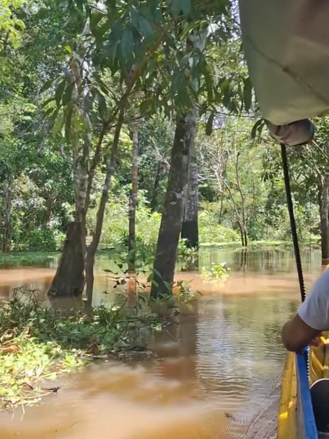 immersion en amazonie