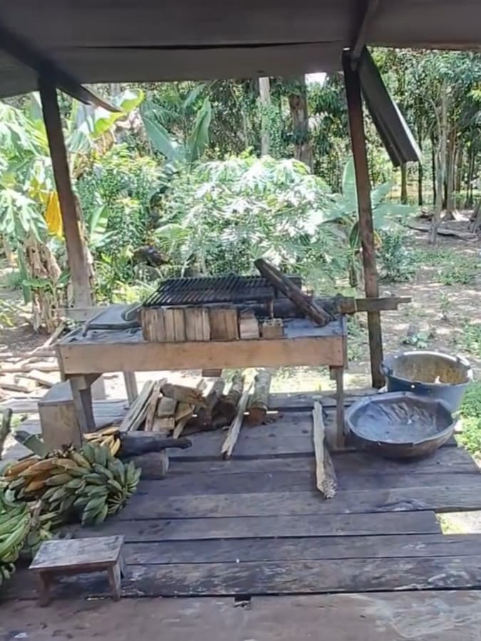 immersion en amazonie