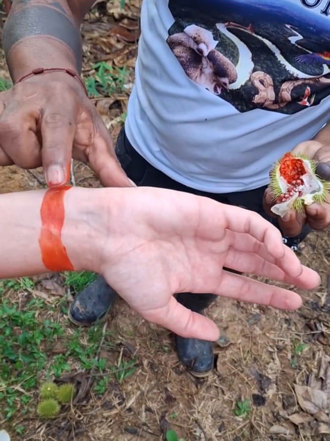 immersion en amazonie