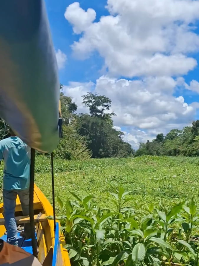 immersion en amazonie