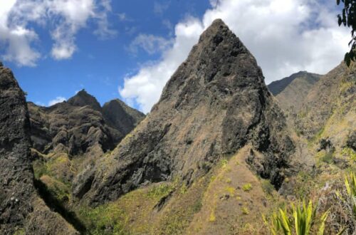 visiter la reunion en famille
