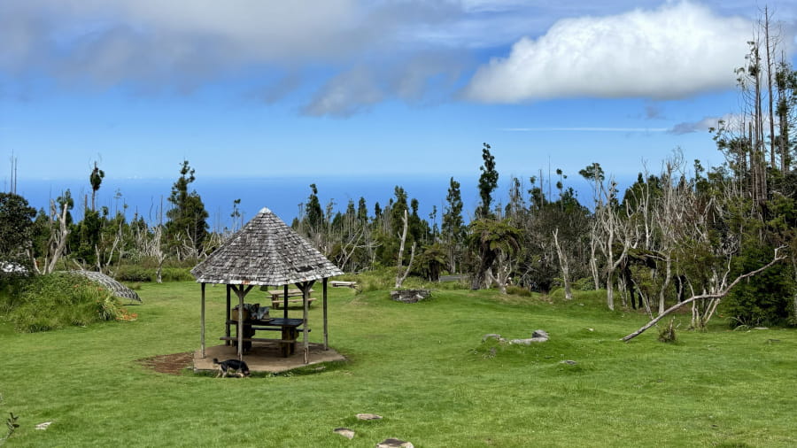 visiter la reunion en famille - couv