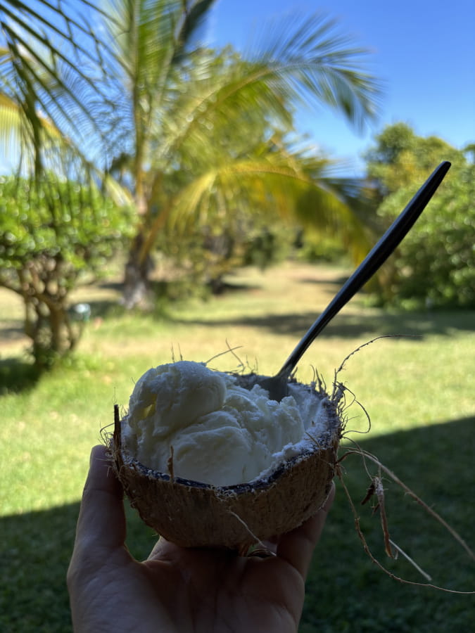 visiter la reunion en famille - couv