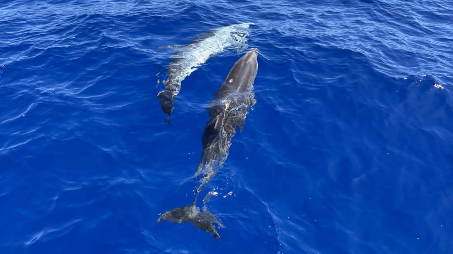 visiter la reunion en famille - couv