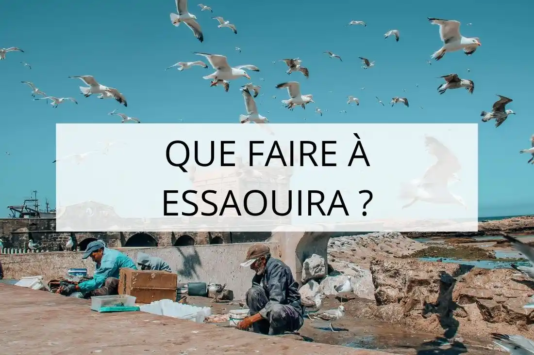que faire à Essaouira ?