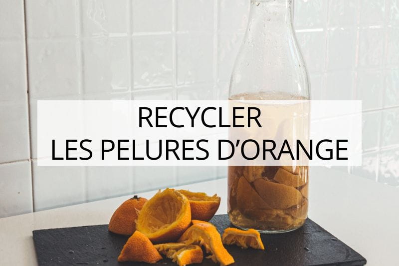 voyage éco-responsable et slow travel
