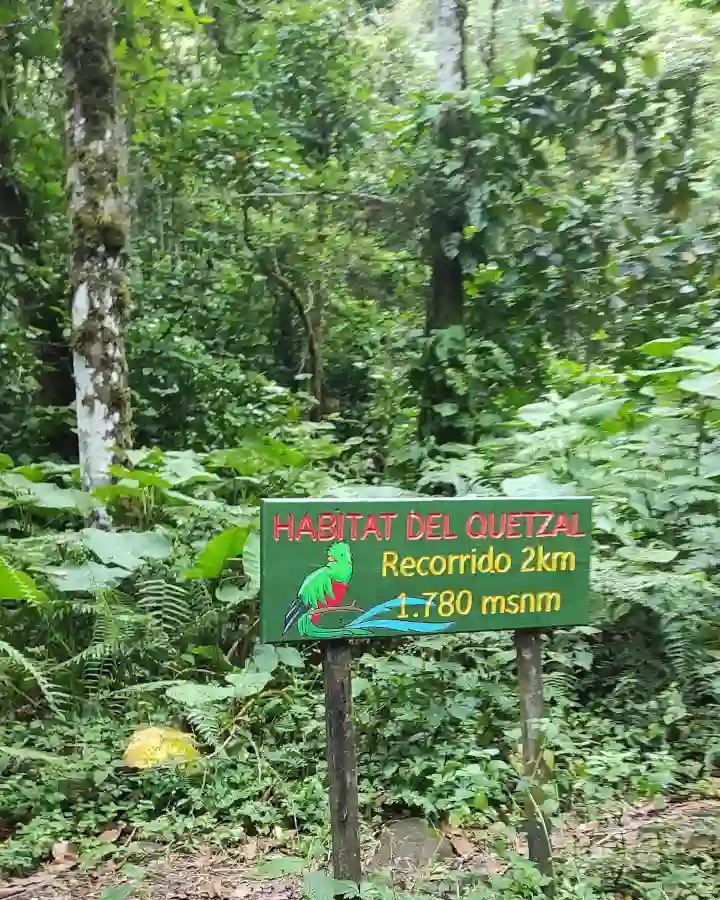 2 semaines au panama