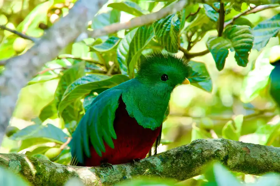 2 semaines au panama en famille