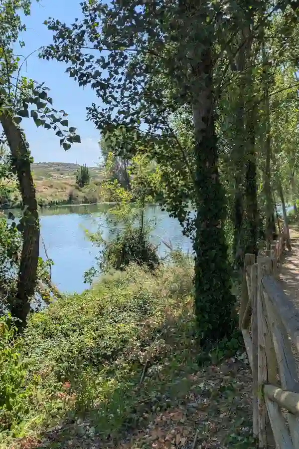 Une journée dans la Rioja