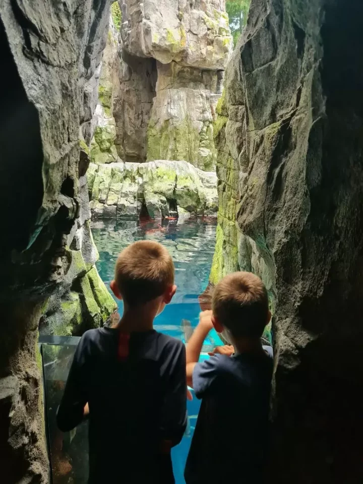 aquario Lisboa