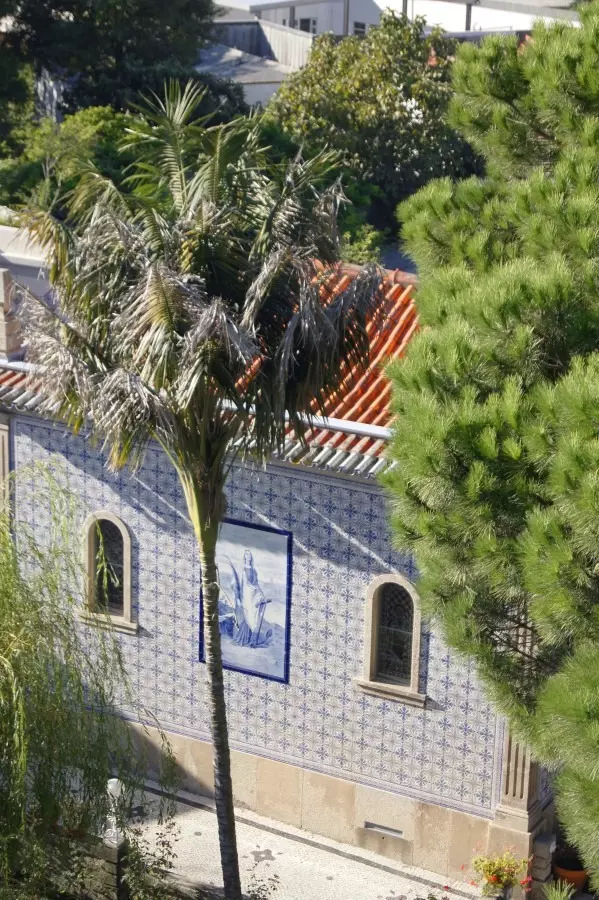 visitar porto con ninos