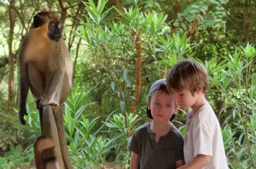 partir en voyage seule avec ses enfants